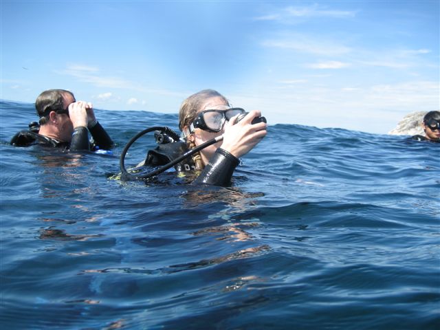 at the surface